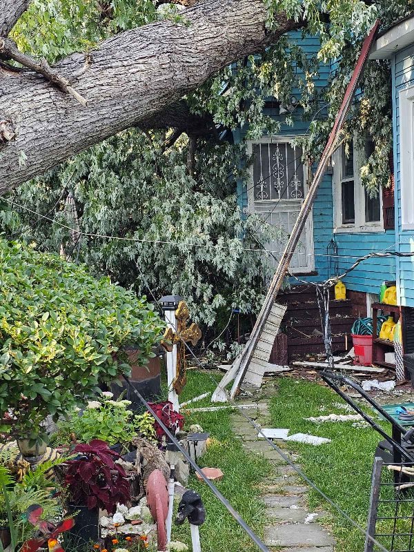 Tree Damage Cleveland Ohio