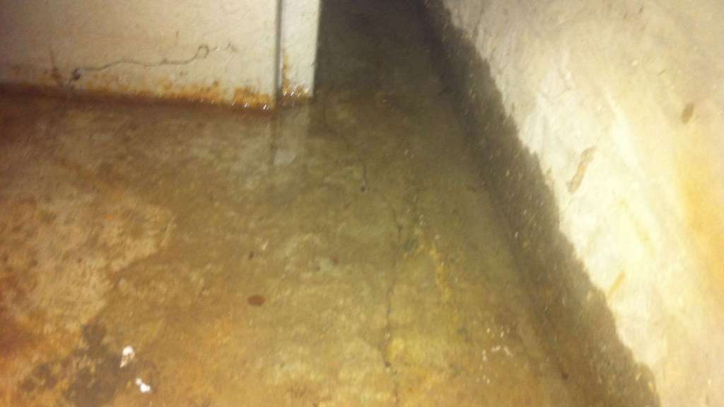 Basement Flooding North Ridgeville